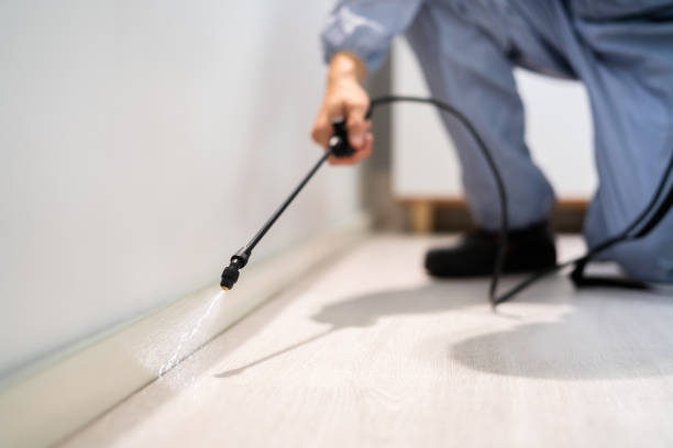 Licensed Termite Control service in Dunlap, OH - Nex Pest Control