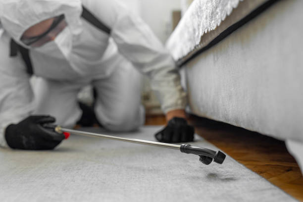 Professional Termite Control technician working in Dunlap, OH