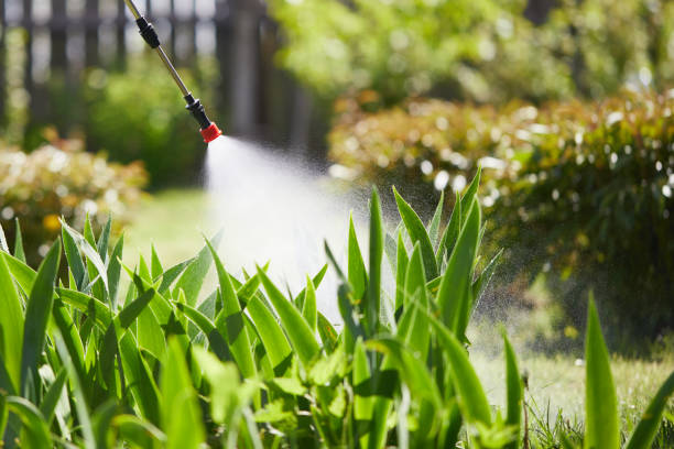 24/7 Emergency Termite Control experts in Dunlap, OH