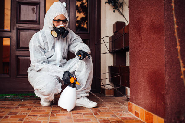 Reliable Termite Control contractor in Dunlap, OH by Nex Pest Control