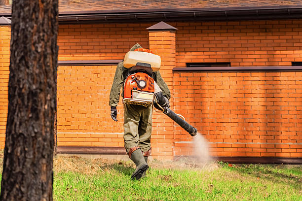 Top rated local Termite Control specialists in Dunlap, OH